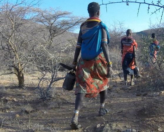 Wild harvesting of Frankincense in Kenya by the Samburu tribe. A FairWild project has helped to establish sustainable practices and help harvesting communities communities gain fair market access © Ackroyd + Harvey / Conflicted Seeds